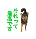 聞き上手なミックス犬（個別スタンプ：10）