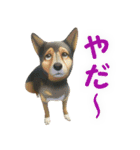 聞き上手なミックス犬（個別スタンプ：16）