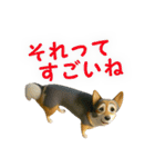 聞き上手なミックス犬（個別スタンプ：18）