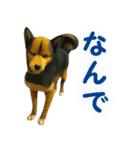 聞き上手なミックス犬（個別スタンプ：23）