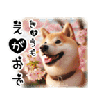 微笑む癒し柴犬（個別スタンプ：2）