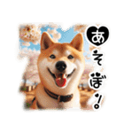 微笑む癒し柴犬（個別スタンプ：3）