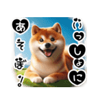 微笑む癒し柴犬（個別スタンプ：7）