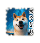 微笑む癒し柴犬（個別スタンプ：23）