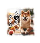 微笑む癒し柴犬（個別スタンプ：27）