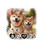 微笑む癒し柴犬（個別スタンプ：29）