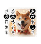 微笑む癒し柴犬（個別スタンプ：37）