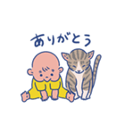 猫と赤ちゃん（日常編）（個別スタンプ：5）