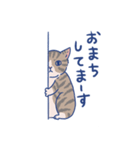 猫と赤ちゃん（日常編）（個別スタンプ：8）