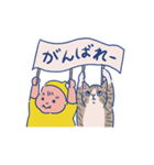 猫と赤ちゃん（日常編）（個別スタンプ：13）