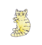 cat with goodthing（個別スタンプ：2）