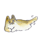 cat with goodthing（個別スタンプ：4）