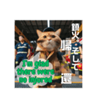 THE CAT •He is a firefighter 猫の消防士（個別スタンプ：13）