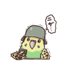 帝国インコ（個別スタンプ：34）