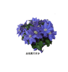 お花で癒やされる会話（個別スタンプ：3）