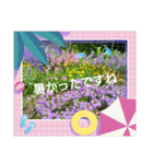 夏の花でご挨拶（個別スタンプ：4）