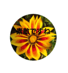 夏の花でご挨拶（個別スタンプ：18）