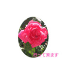 癒やされるお花の日常会話（個別スタンプ：3）