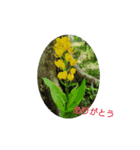 癒やされるお花の日常会話（個別スタンプ：4）