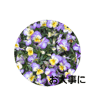 癒やされるお花の日常会話（個別スタンプ：5）