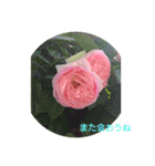 癒やされるお花の日常会話（個別スタンプ：9）