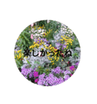 癒やされるお花の日常会話（個別スタンプ：10）