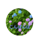 癒やされるお花の日常会話（個別スタンプ：14）
