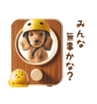 ダックスで雨の日に癒されるスタンプ（個別スタンプ：27）