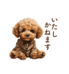 子犬トイプードルとお仕事敬語（個別スタンプ：29）