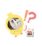 いえねこさん！（個別スタンプ：5）