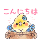 オカメインコちゃんの敬語⭐︎水彩タッチ（個別スタンプ：1）