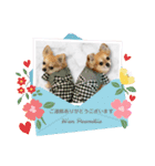 Wan Peamilia（個別スタンプ：2）