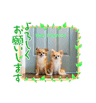 Wan Peamilia（個別スタンプ：3）