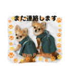 Wan Peamilia（個別スタンプ：4）