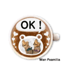 Wan Peamilia（個別スタンプ：6）