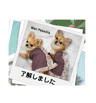 Wan Peamilia（個別スタンプ：9）