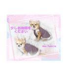 Wan Peamilia（個別スタンプ：10）