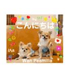 Wan Peamilia（個別スタンプ：11）