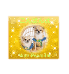 Wan Peamilia（個別スタンプ：13）