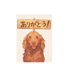 nobu_cyan dog 01（個別スタンプ：15）