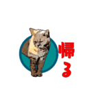 CAT_NUTs2/動く猫（個別スタンプ：2）