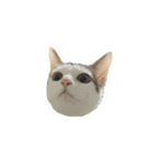 3匹暮らしの猫（稀に犬）（個別スタンプ：4）