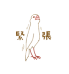 もっちり白文鳥（個別スタンプ：3）