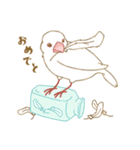 もっちり白文鳥（個別スタンプ：5）