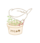 もっちり白文鳥（個別スタンプ：7）