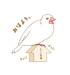 もっちり白文鳥（個別スタンプ：13）