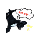 オデカーズ（個別スタンプ：4）