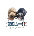 オデカーズ（個別スタンプ：5）