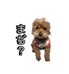 オデカーズ（個別スタンプ：13）