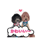 オデカーズ（個別スタンプ：14）